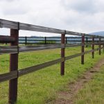 pasy ogrodzeniowe dla koni