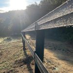 pasy ogrodzeniowe dla koni