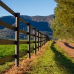 pasy ogrodzeniowe dla koni