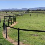pasy ogrodzeniowe dla koni