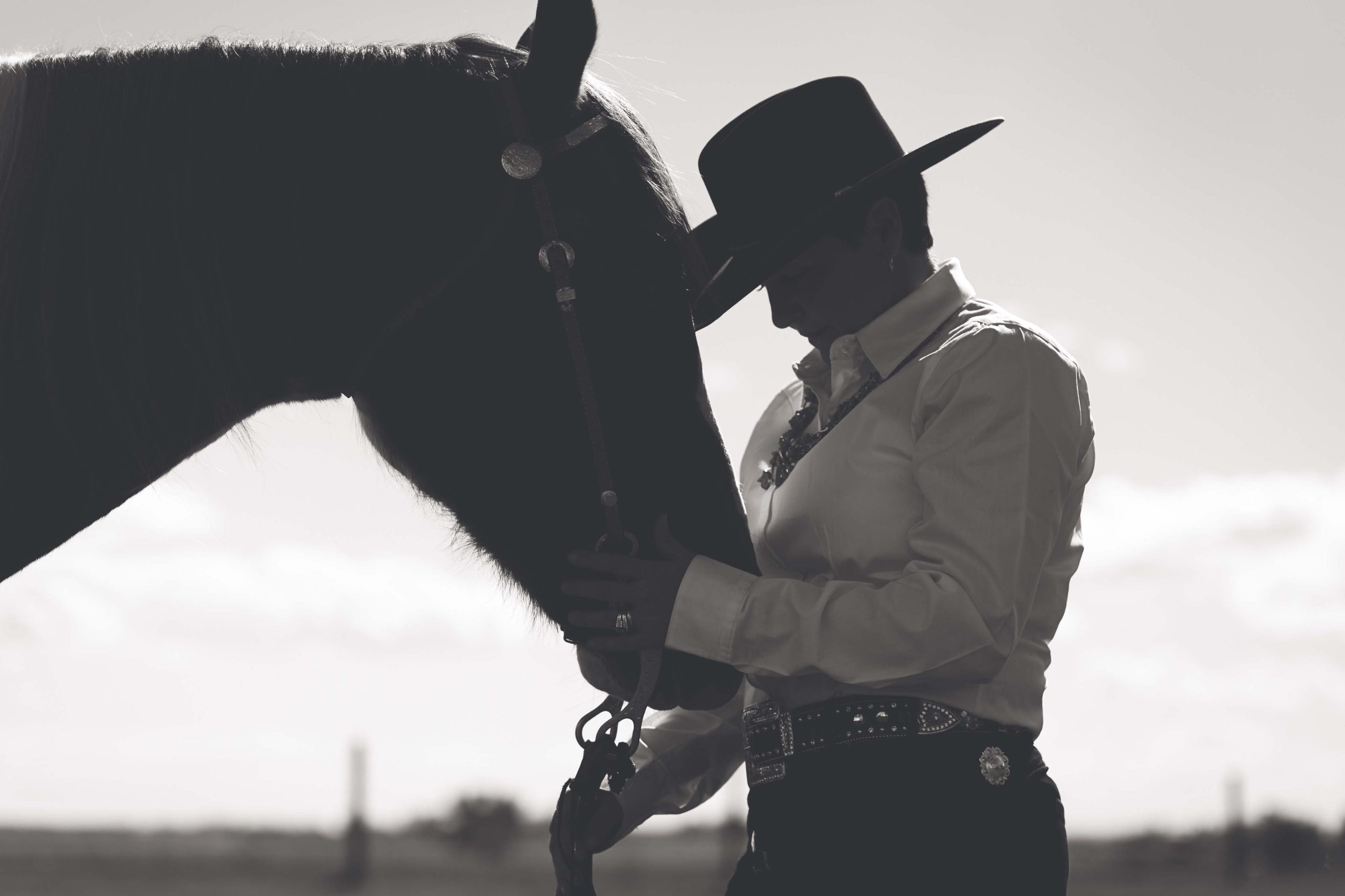 Reining western riding