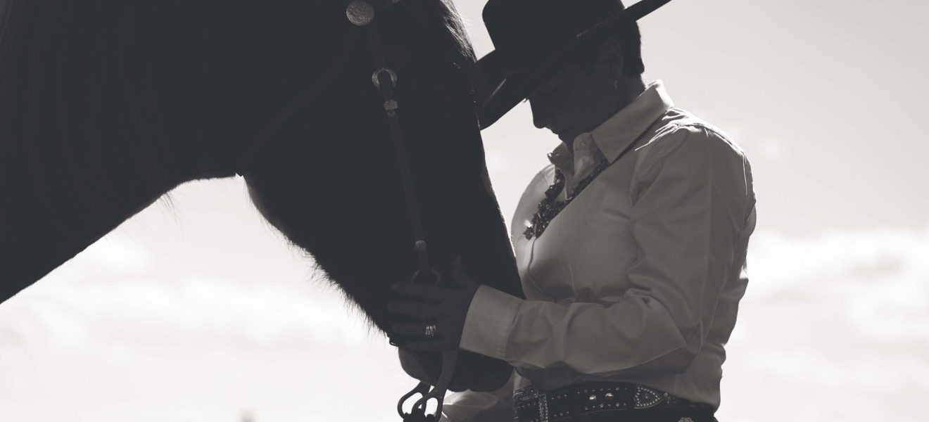 Reining western riding