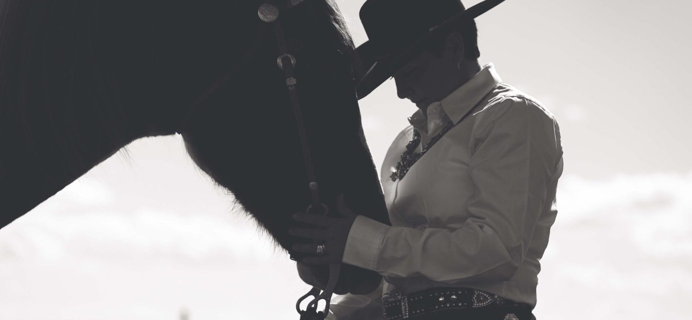Reining western riding