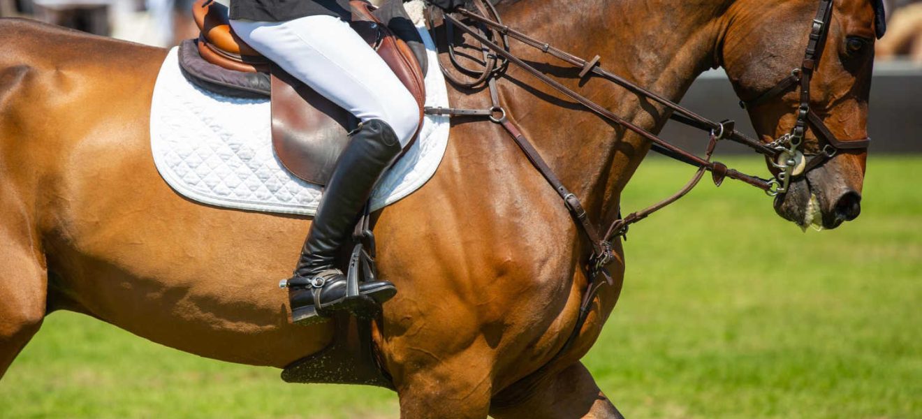 Buty do jazdy konnej