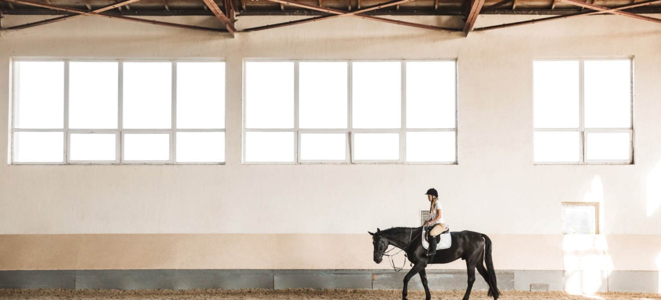 Czarna wodza dla konia