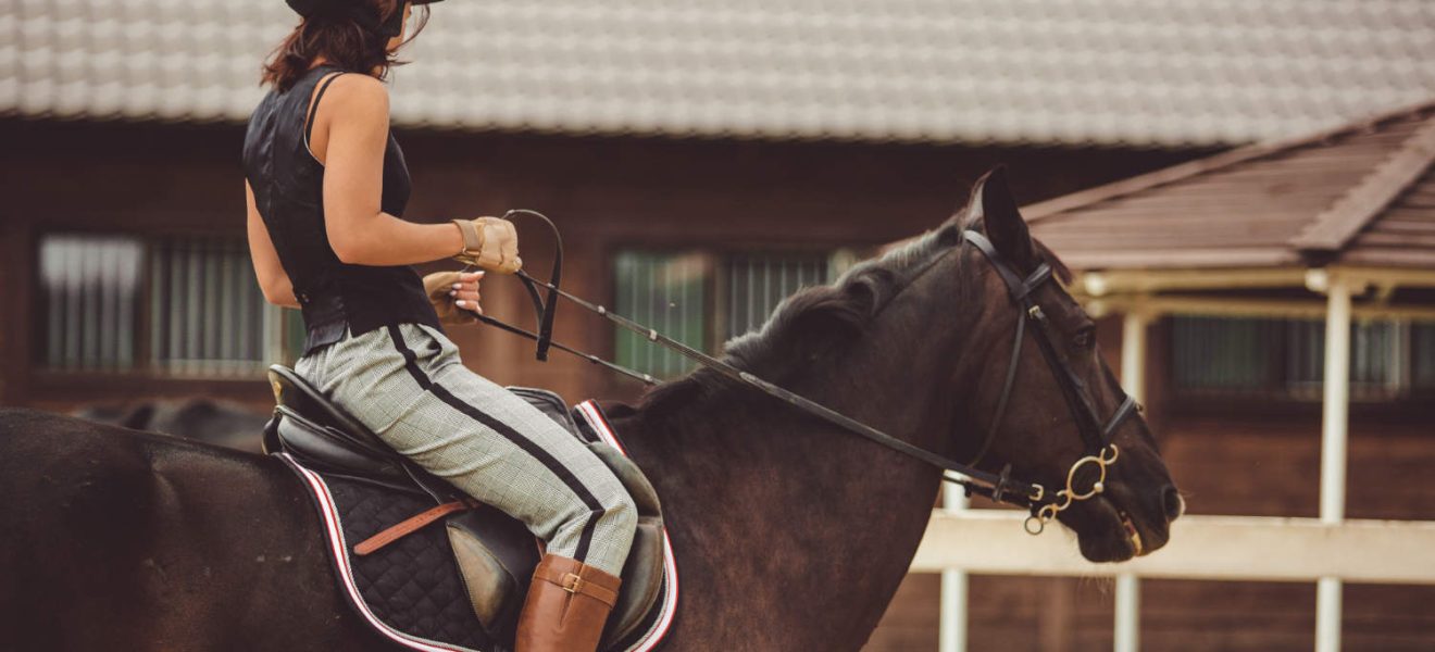 Kamizelka jeździecka