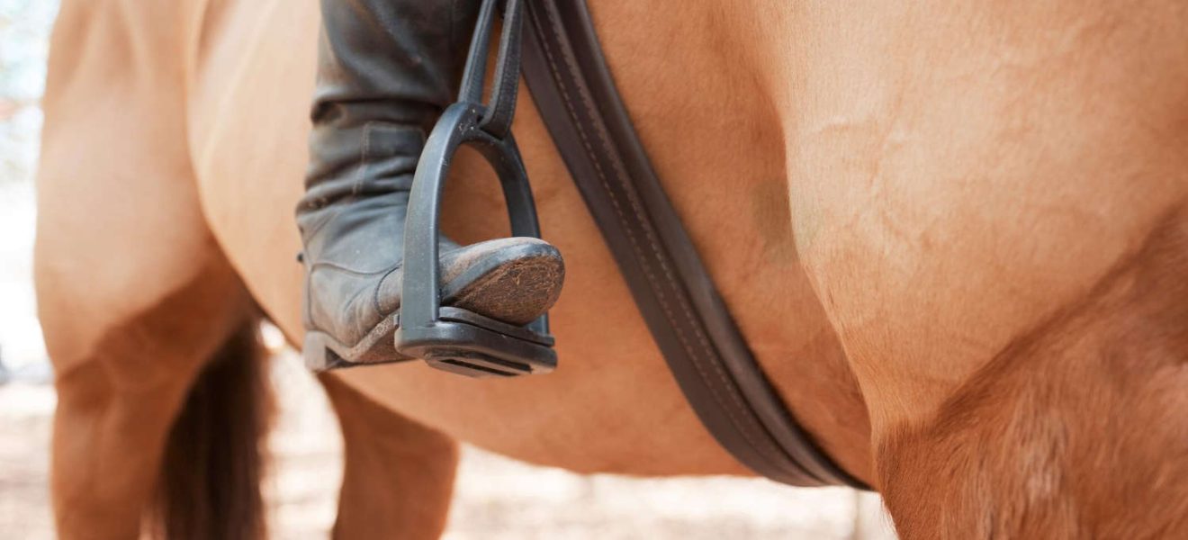 Popręg dla konia