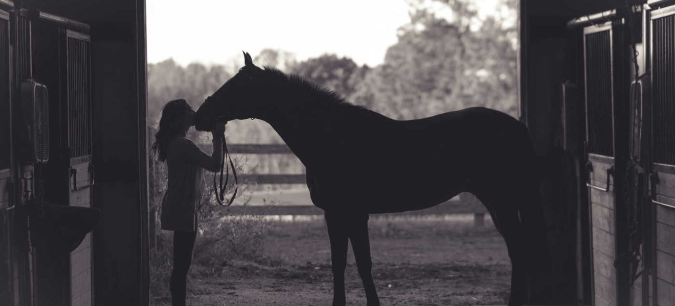 Prezent dla miłośnika koni - pomysły na upominek dla koniary