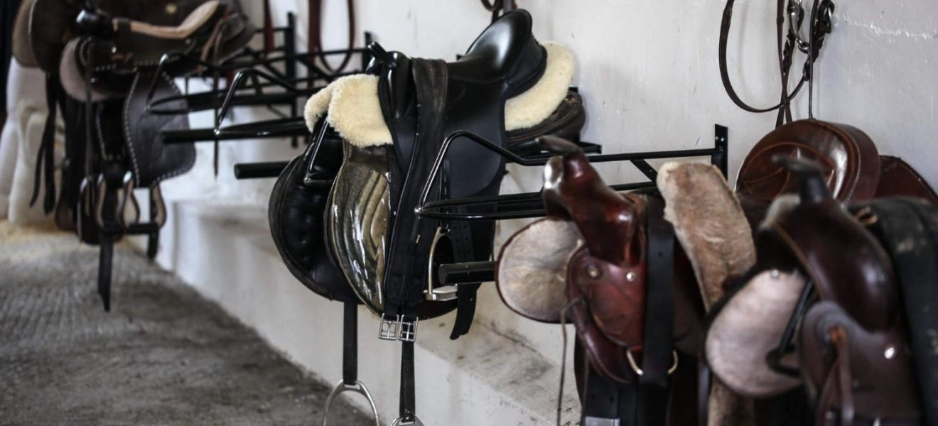Siodlarnia dla koni – serce każdej stajni