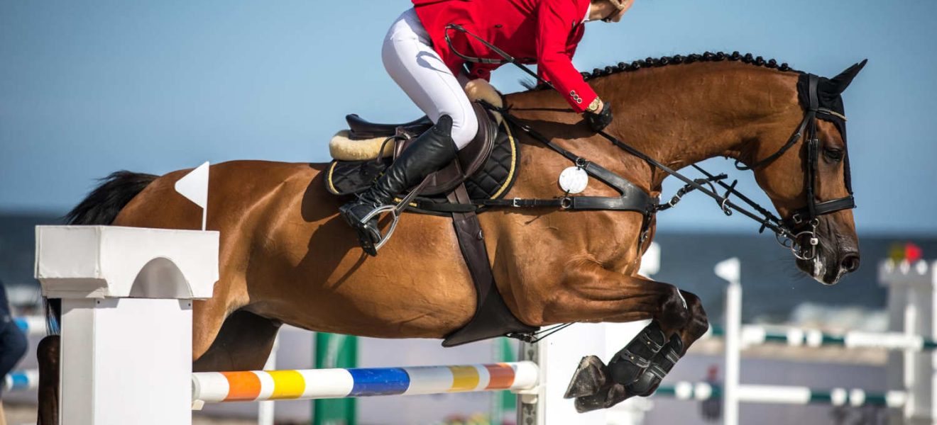 WKKW Wszechstronny Konkurs Konia Wierzchowego